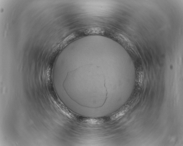 X0000086940326200705071424