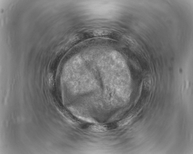 X0000086940327200705071424