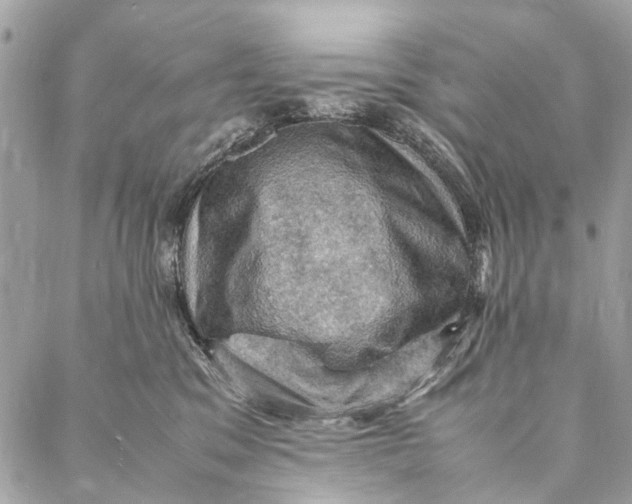 X0000086940329200705071424