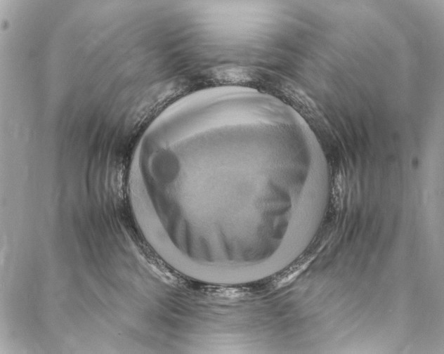 X0000086940330200705071424