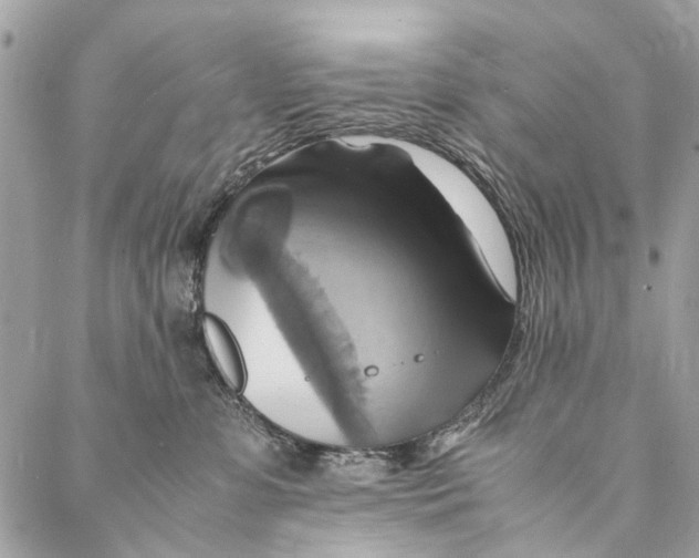 X0000086940331200705071424