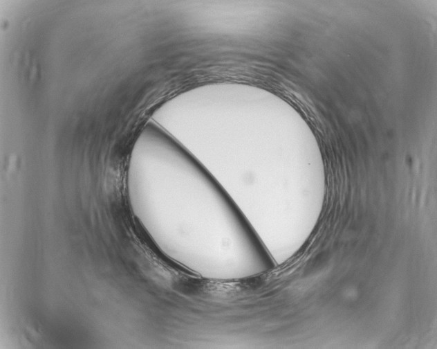 X0000086940333200705071424