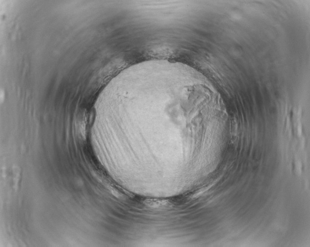 X0000086940334200705071424