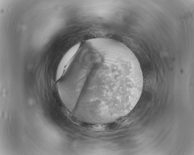 X0000086940335200705071424