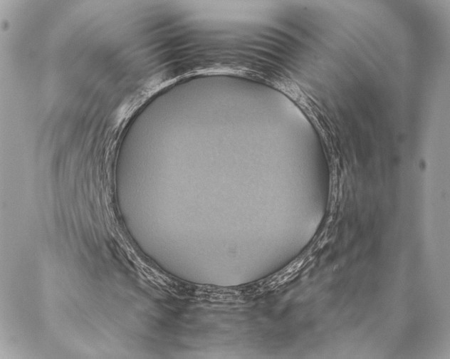 X0000086940337200705071423