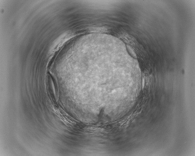 X0000086940339200705071423