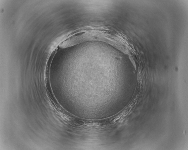 X0000086940340200705071423