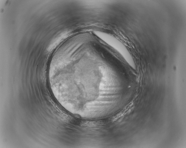 X0000086940341200705071423