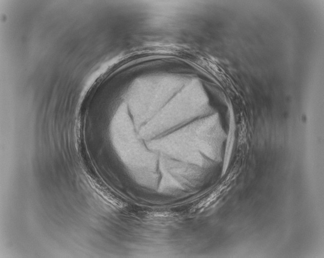 X0000086940342200705071423