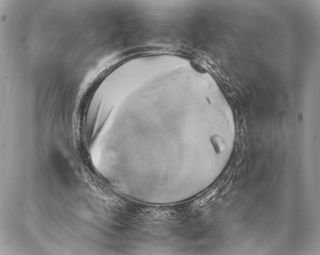 X0000086940343200705071423