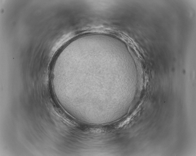 X0000086940344200705071423