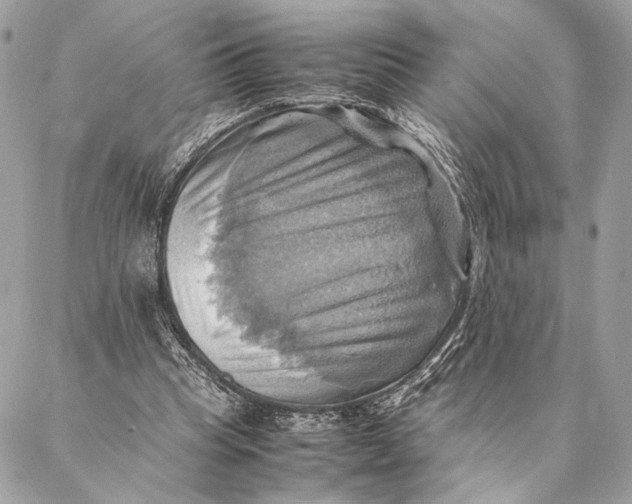 X0000086940345200705071423