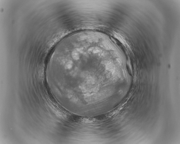 X0000086940346200705071424