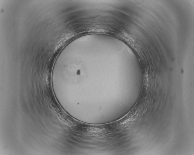 X0000086940347200705071424