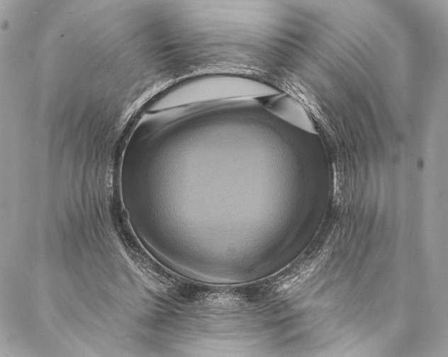 X0000086940348200705071424