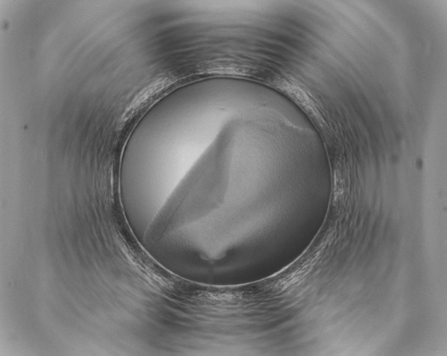 X0000086940349200705071424