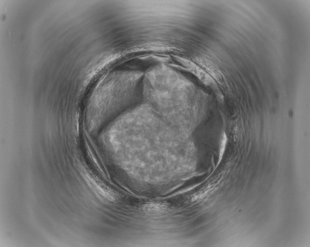 X0000086940350200705071424