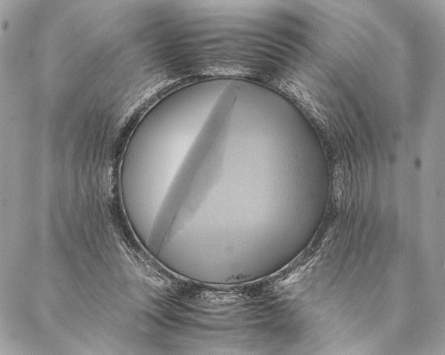 X0000086940351200705071424