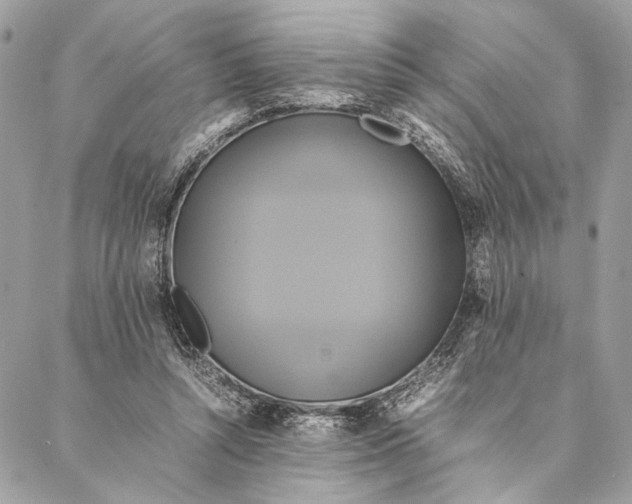 X0000086940352200705071424