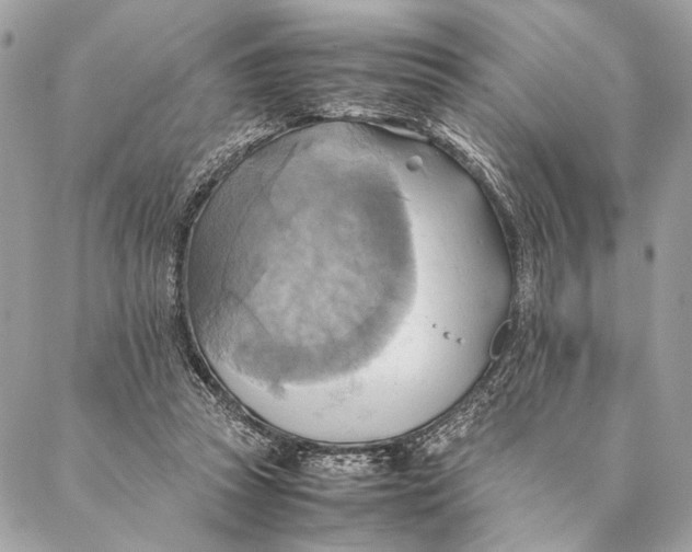 X0000086940353200705071424