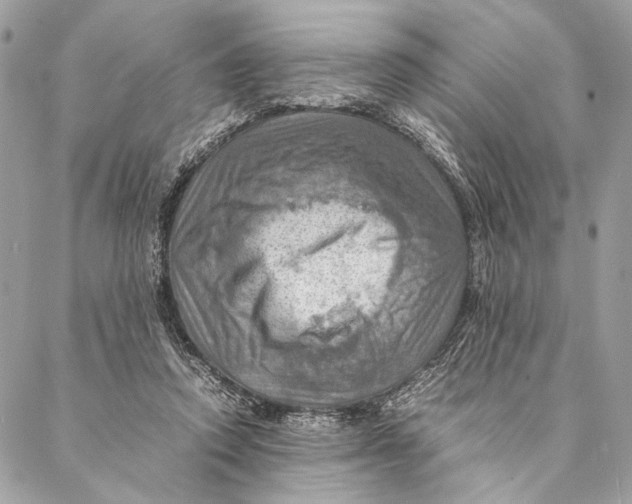 X0000086940354200705071424