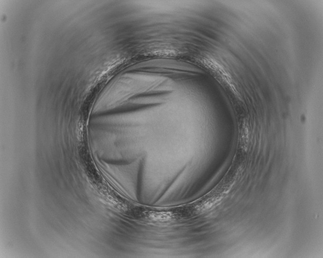 X0000086940355200705071424