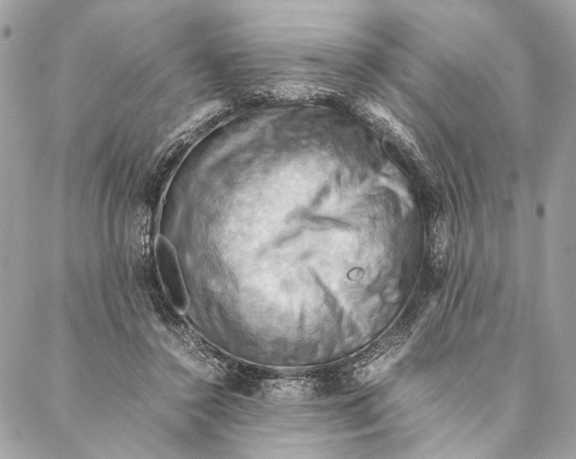 X0000086940356200705071424