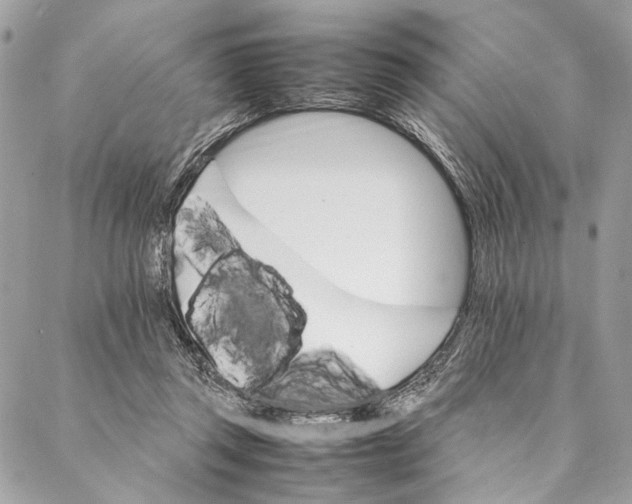 X0000086940357200705071424