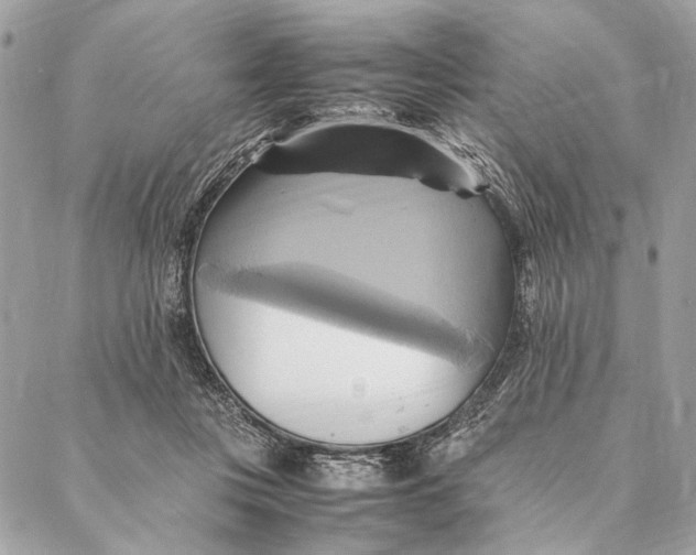 X0000086940359200705071424