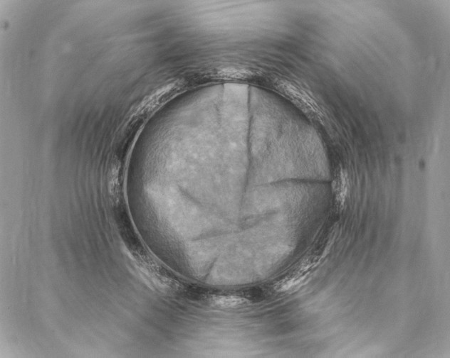 X0000086940360200705071424