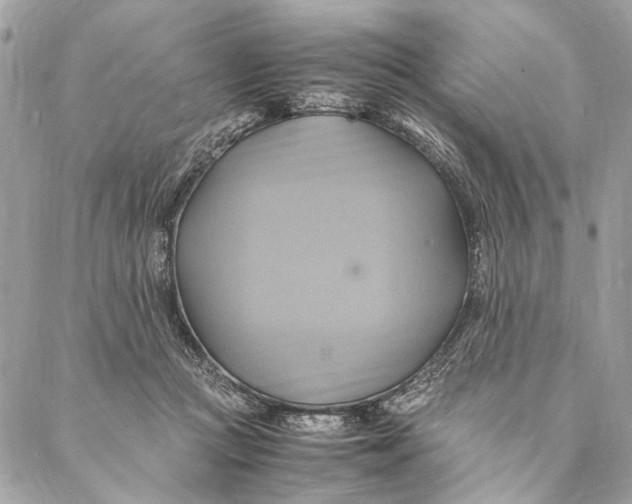 X0000086940361200705071424