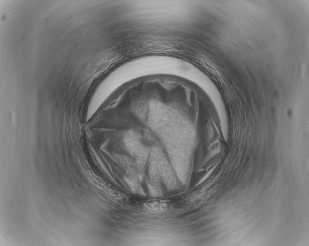 X0000086940362200705071424