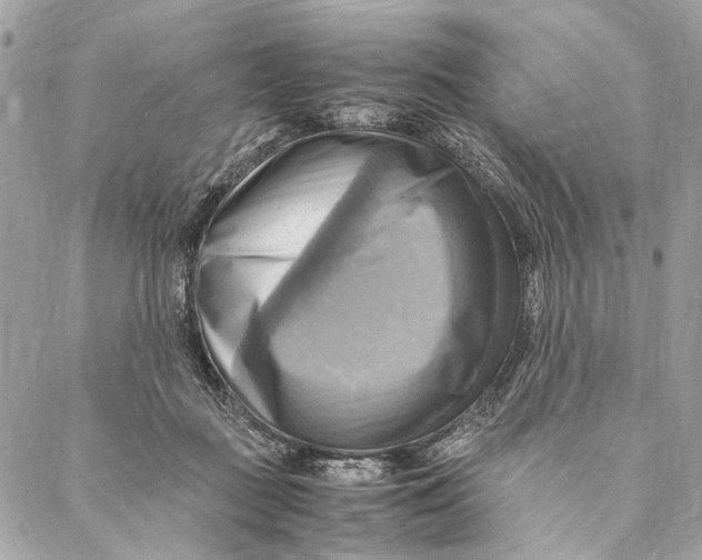 X0000086940363200705071424