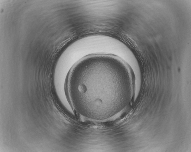 X0000086940364200705071424