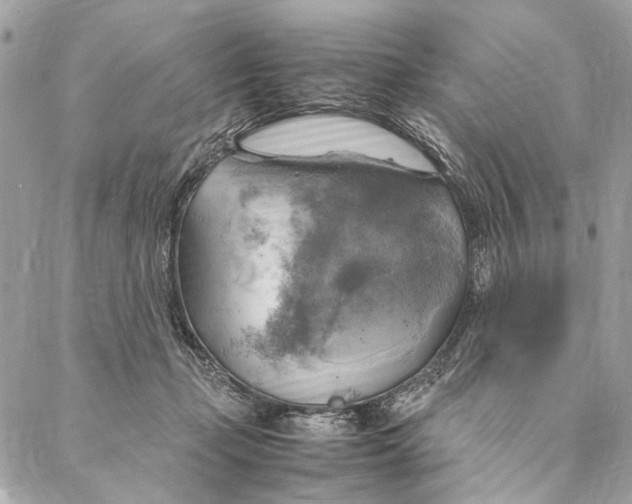 X0000086940365200705071424