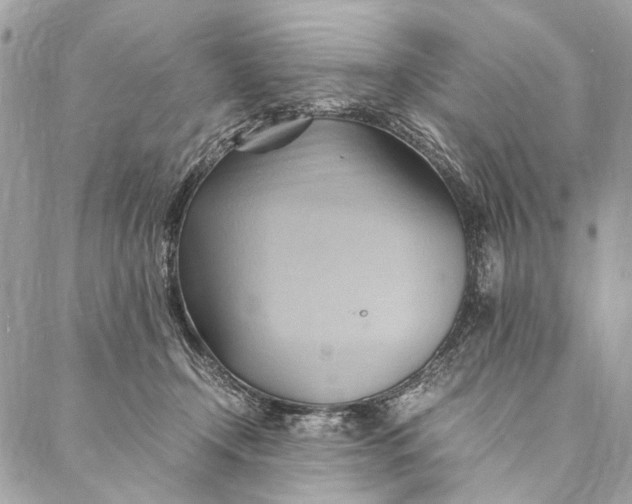 X0000086940366200705071424