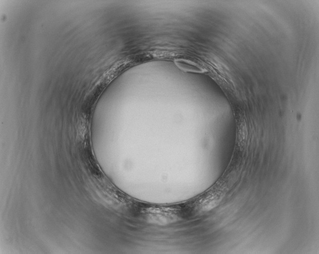 X0000086940367200705071424