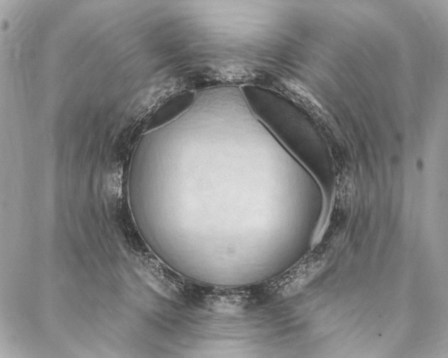 X0000086940368200705071424