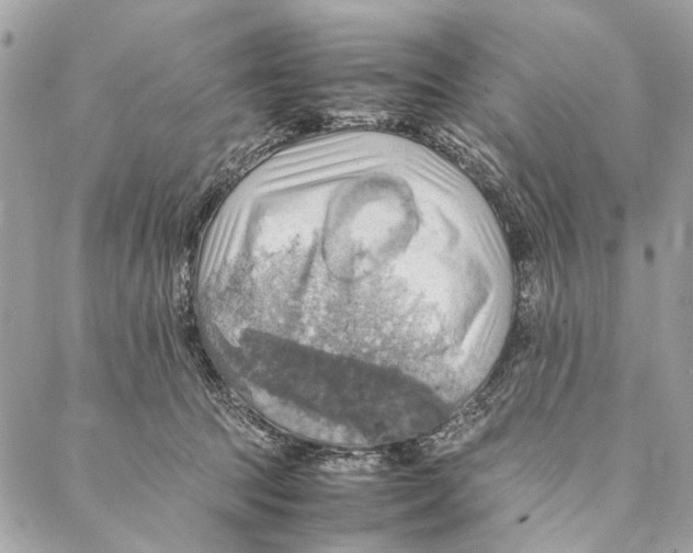 X0000086940369200705071424