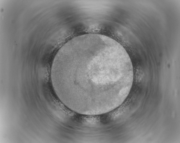 X0000086940370200705071424