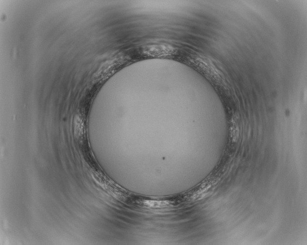 X0000086940371200705071424