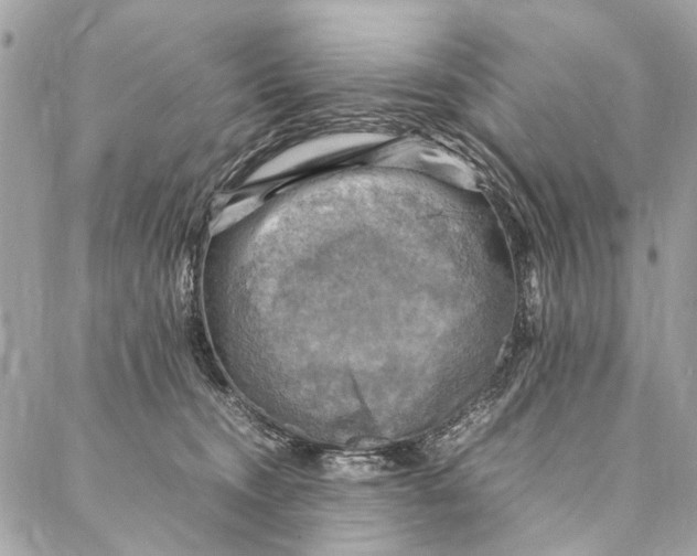 X0000086940372200705071424