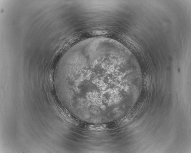 X0000086940373200705071424