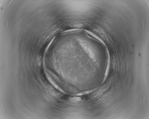 X0000086940374200705071424