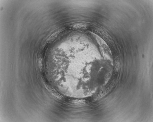 X0000086940375200705071424