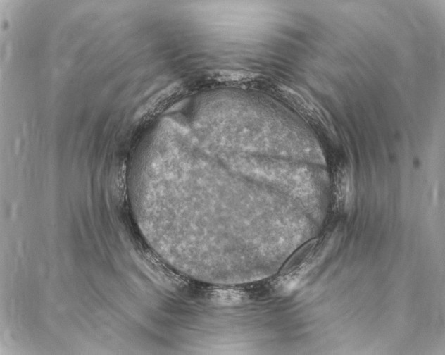 X0000086940376200705071424