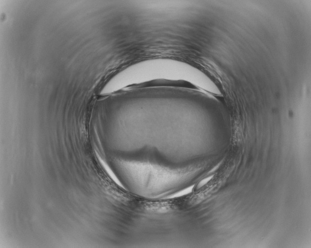 X0000086940377200705071424