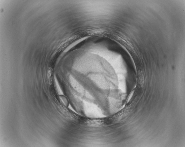 X0000086940378200705071424