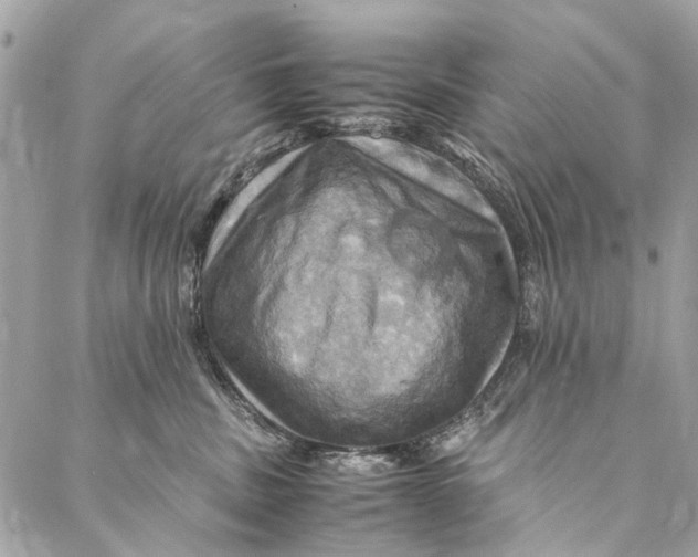 X0000086940379200705071424