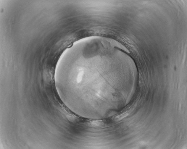 X0000086940382200705071424